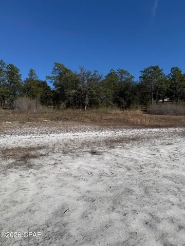Lot 21 Grassy Pond Road, Chipley, FL 32428
