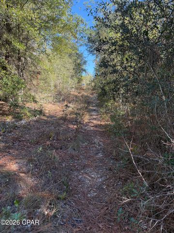 Lot 21 Grassy Pond Road, Chipley, FL 32428