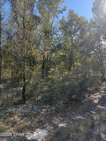 Lot 21 Grassy Pond Road, Chipley, FL 32428