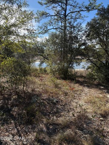Lot 21 Grassy Pond Road, Chipley, FL 32428