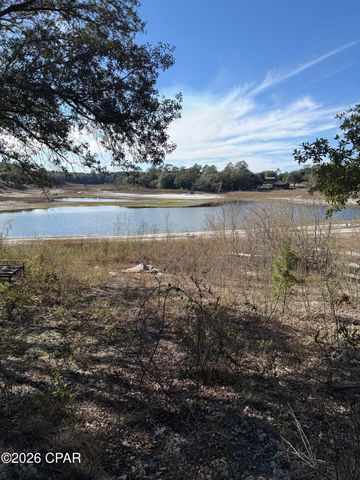 Lot 21 Grassy Pond Road, Chipley, FL 32428