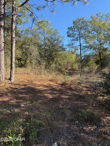 Lot 21 Grassy Pond Road, Chipley, FL 32428