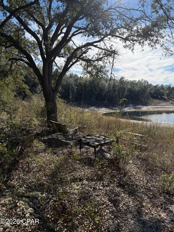 Lot 21 Grassy Pond Road, Chipley, FL 32428