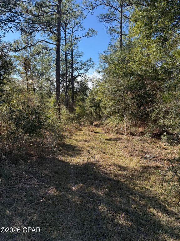 Lot 21 Grassy Pond Road, Chipley, FL 32428