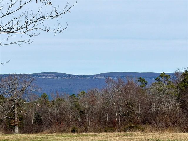 17430 Forest Rd 18, Havana, AR 72842