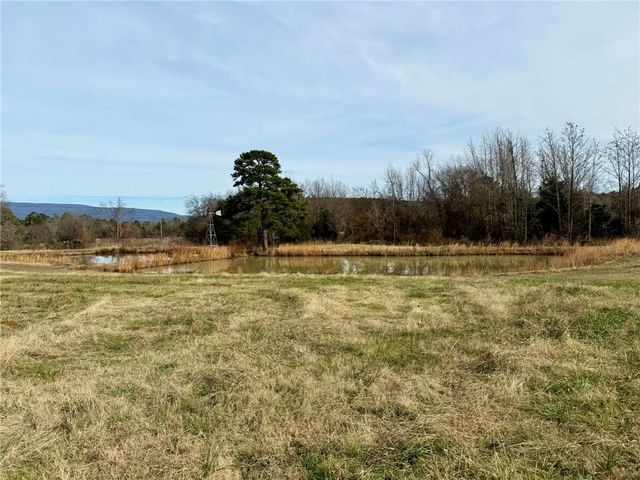 17430 Forest Rd 18, Havana, AR 72842