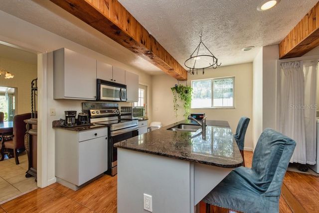 16123 E LAKE BURRELL DRIVE, Lutz, FL 33549