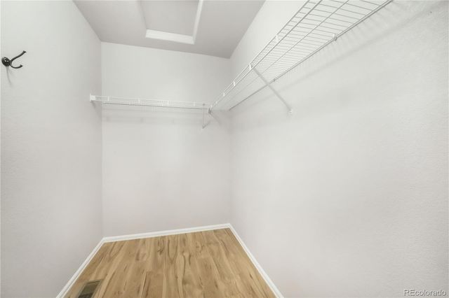 812 Hailey Glenn View, Colorado Springs, CO 80916