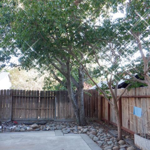 8425 vintage park Dr, Sacramento, CA 95828