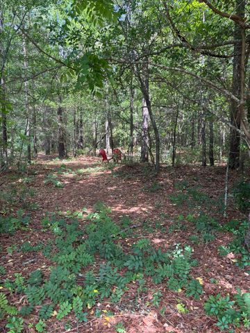 630 Adger Lane, Sumter, SC 29154
