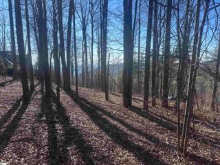 44 Wild Ginger Road, Landrum, SC 29356