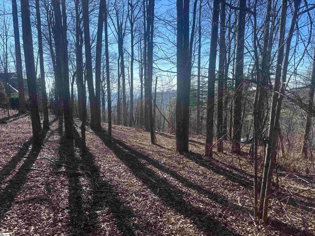 44 Wild Ginger Road, Landrum, SC 29356