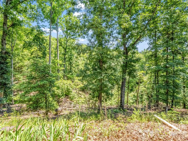 137 Amys Ridge Road, Lake Lure, NC 28746