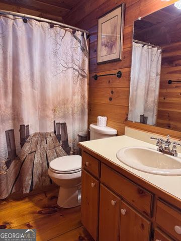 726 Cherry Lake Drive, Cherry Log, GA 30522