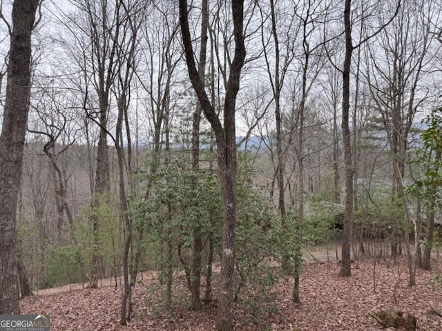 726 Cherry Lake Drive, Cherry Log, GA 30522