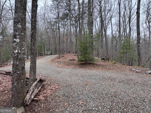 726 Cherry Lake Drive, Cherry Log, GA 30522