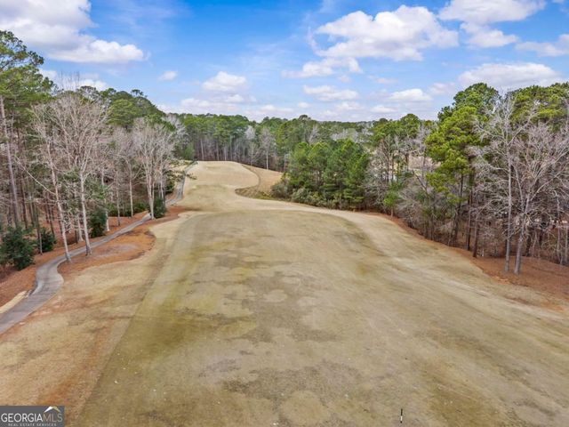 1101 Lockets Trail, Greensboro, GA 30642