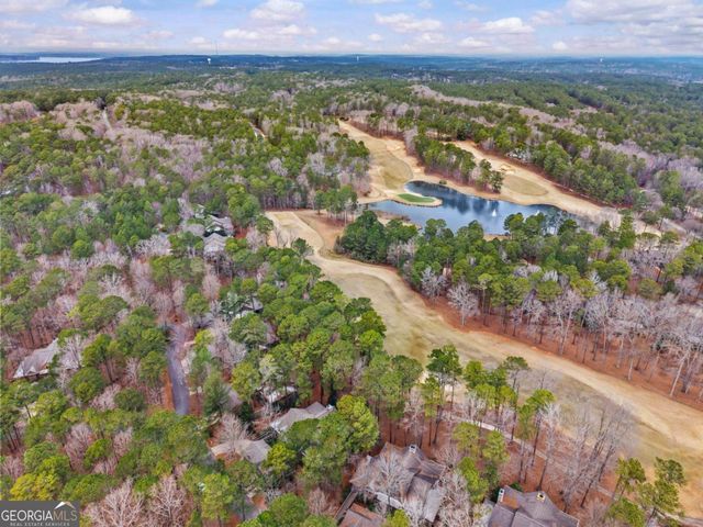 1101 Lockets Trail, Greensboro, GA 30642