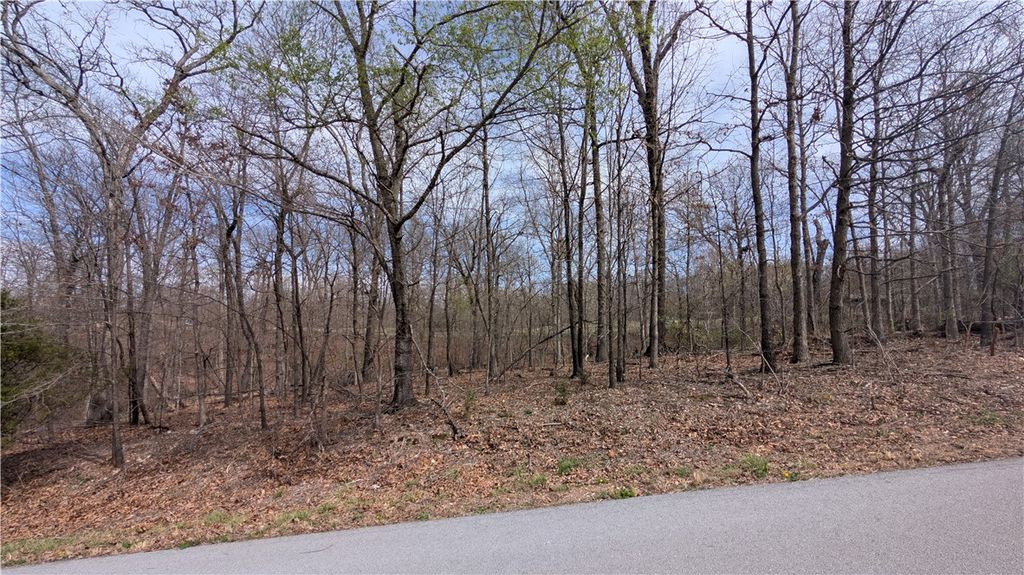 Lot 17 Kirkpatrick Lane, Bella Vista, AR 72715