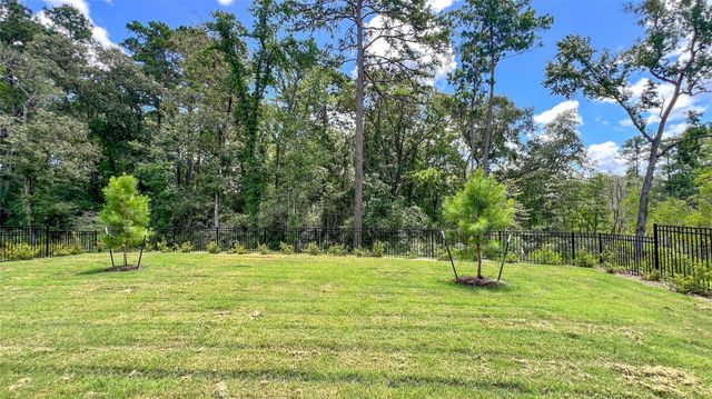 15002 Baikal Teal Terrace, Magnolia, TX 77354