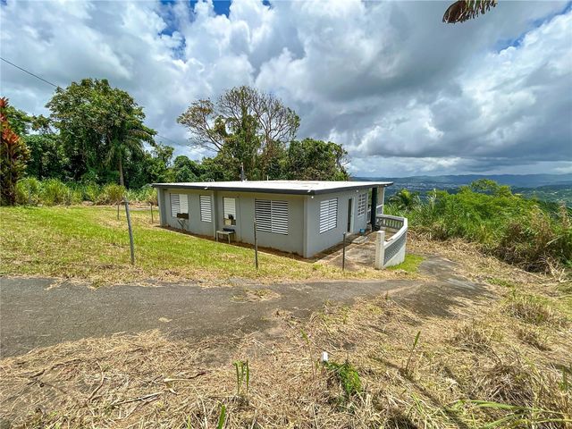 BO BORINQUEN CARR. 763, Caguas, PR 00725