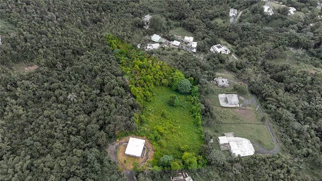 BO BORINQUEN CARR. 763, Caguas, PR 00725