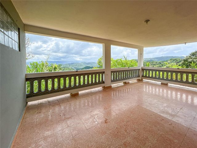 BO BORINQUEN CARR. 763, Caguas, PR 00725