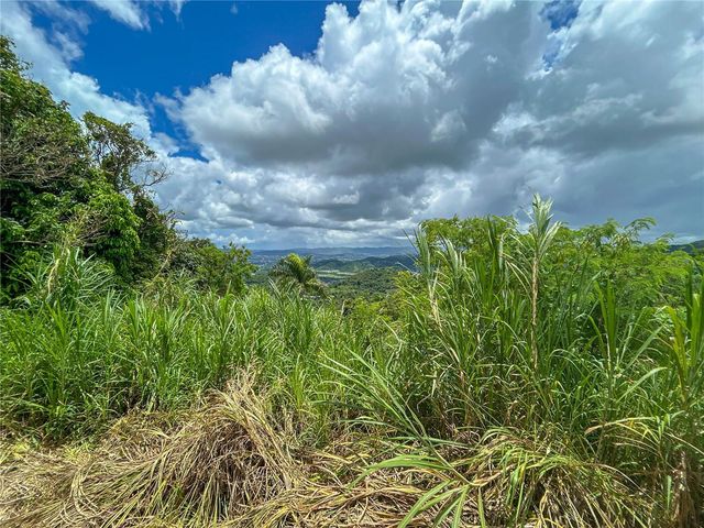 BO BORINQUEN CARR. 763, Caguas, PR 00725