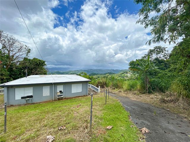 BO BORINQUEN CARR. 763, Caguas, PR 00725