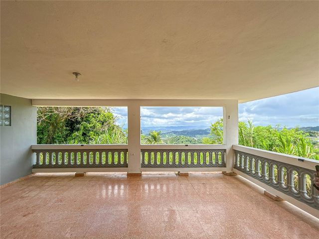 BO BORINQUEN CARR. 763, Caguas, PR 00725