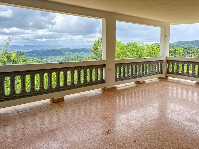 BO BORINQUEN CARR. 763, Caguas, PR 00725