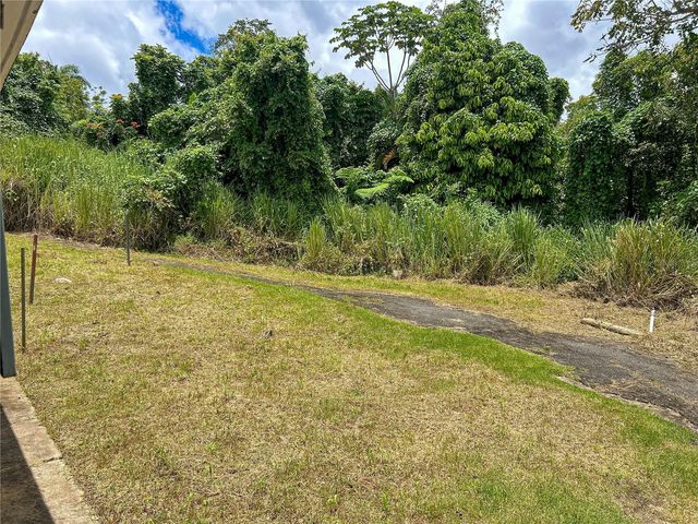 BO BORINQUEN CARR. 763, Caguas, PR 00725