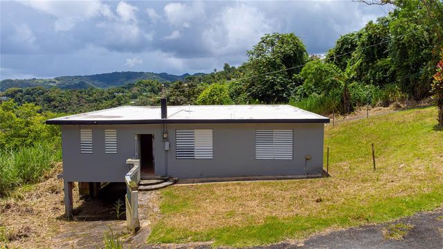 BO BORINQUEN CARR. 763, Caguas, PR 00725