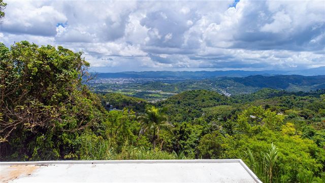 BO BORINQUEN CARR. 763, Caguas, PR 00725