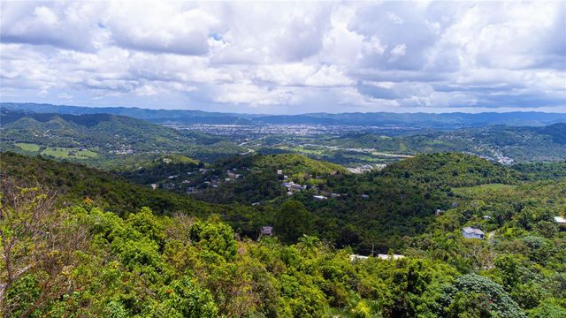 BO BORINQUEN CARR. 763, Caguas, PR 00725