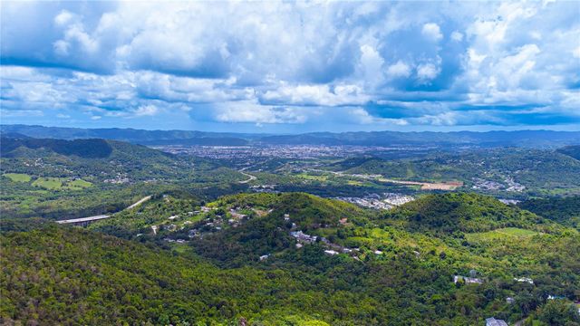 BO BORINQUEN CARR. 763, Caguas, PR 00725