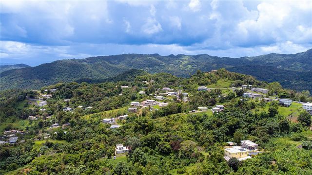 BO BORINQUEN CARR. 763, Caguas, PR 00725