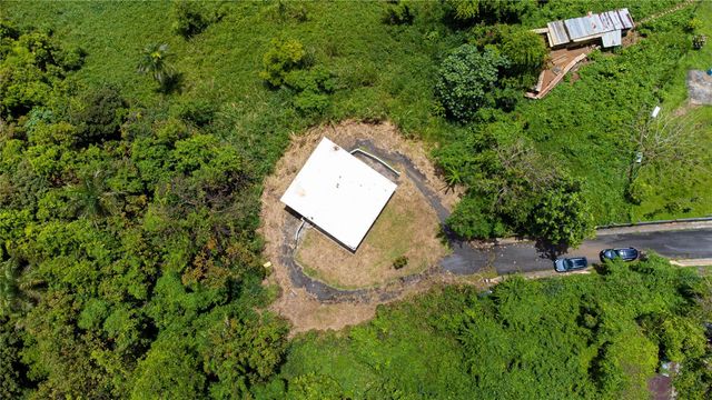 BO BORINQUEN CARR. 763, Caguas, PR 00725