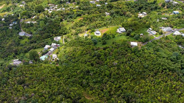 BO BORINQUEN CARR. 763, Caguas, PR 00725