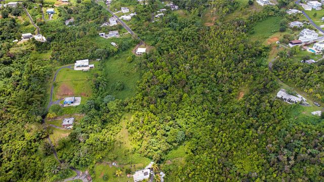 BO BORINQUEN CARR. 763, Caguas, PR 00725