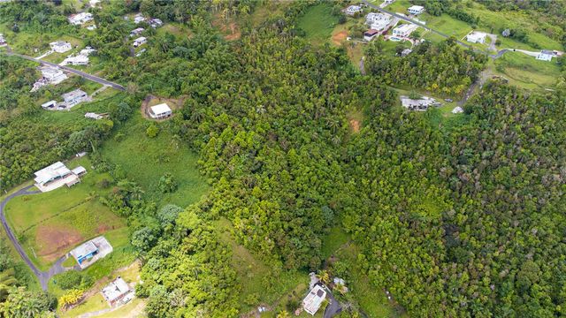 BO BORINQUEN CARR. 763, Caguas, PR 00725