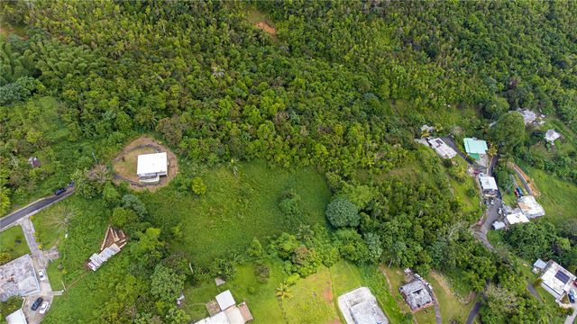 BO BORINQUEN CARR. 763, Caguas, PR 00725