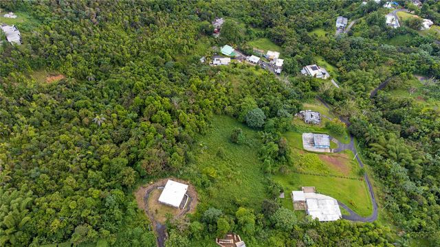 BO BORINQUEN CARR. 763, Caguas, PR 00725