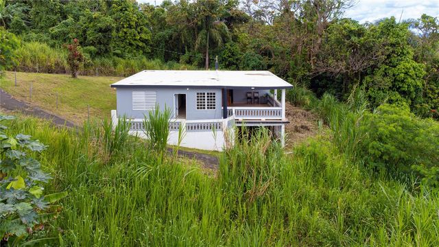 BO BORINQUEN CARR. 763, Caguas, PR 00725