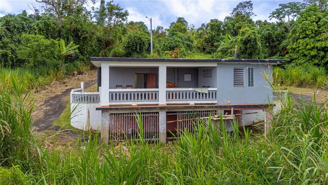 BO BORINQUEN CARR. 763, Caguas, PR 00725