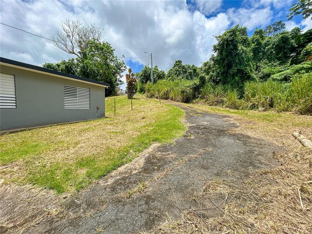 BO BORINQUEN CARR. 763, Caguas, PR 00725