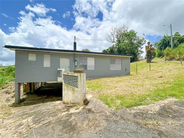 BO BORINQUEN CARR. 763, Caguas, PR 00725