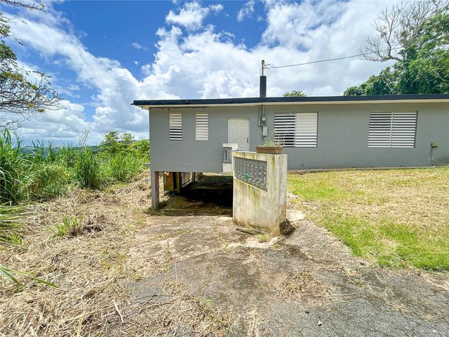 BO BORINQUEN CARR. 763, Caguas, PR 00725