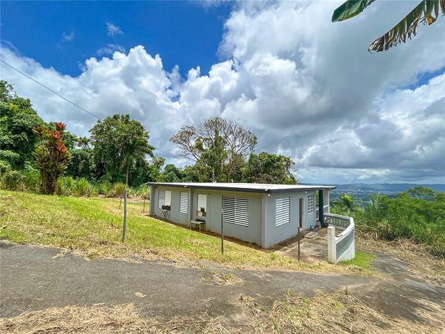 BO BORINQUEN CARR. 763, Caguas, PR 00725