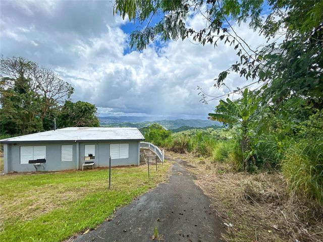 BO BORINQUEN CARR. 763, Caguas, PR 00725